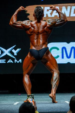 BODYBUILDING 102